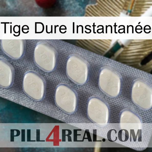 Tige Dure Instantanée 08.jpg